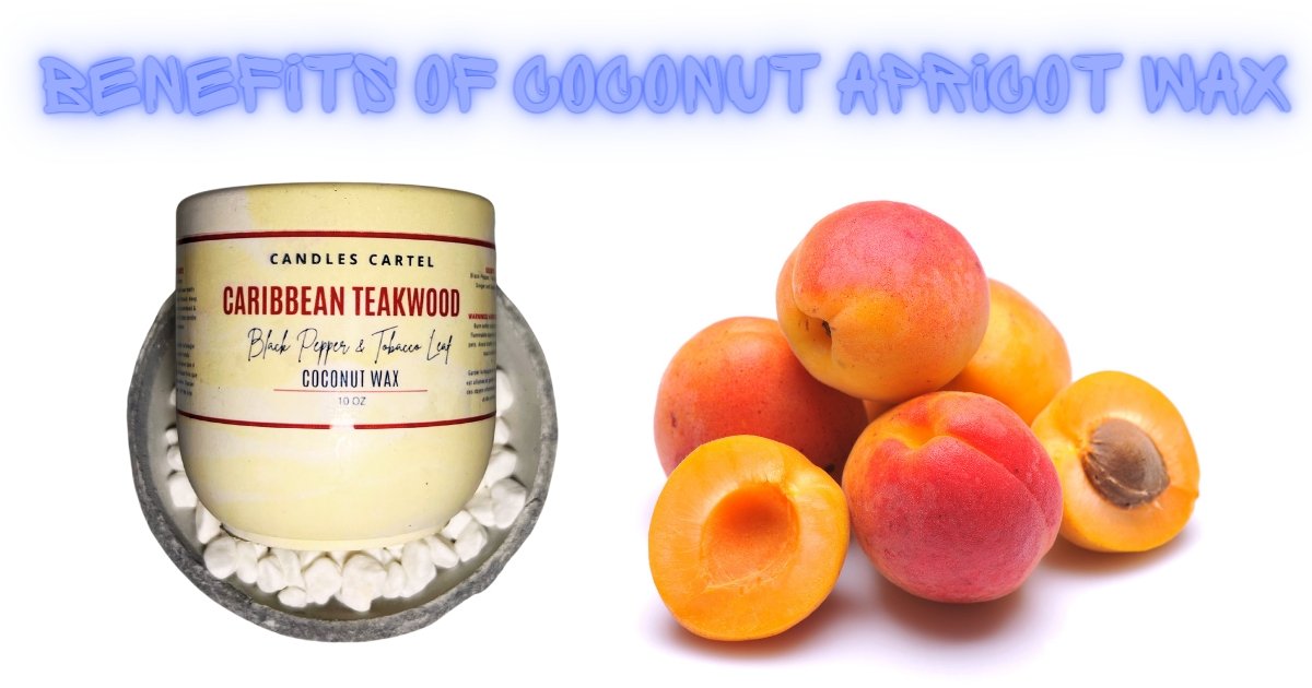 Coconut Apricot Wax