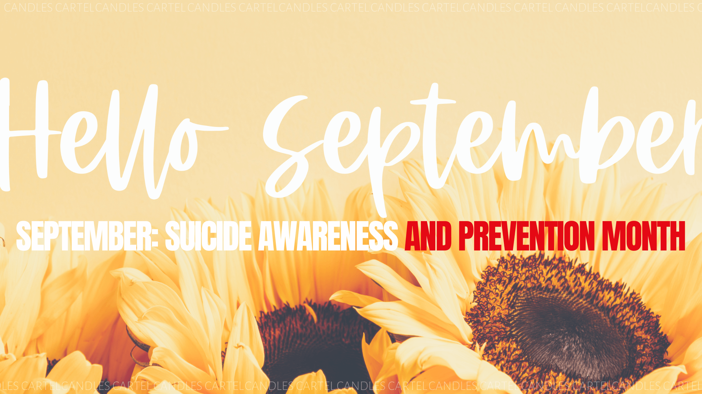 September: Suicide Awareness and Prevention Month  - Blog Article