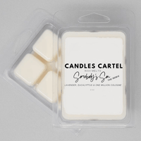 Thumbnail for Somebody’s Son (The Remix) Wax Melts - Candles Cartel